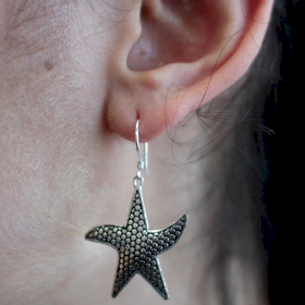 Silver Earrings - Star Fish