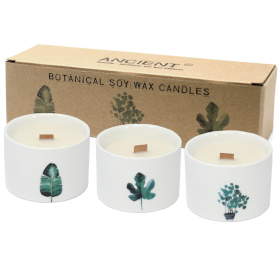 3x Med Botanical Candles - Lemon Honeysuckle