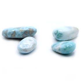 4x Premium Tumble Stones - Larimar