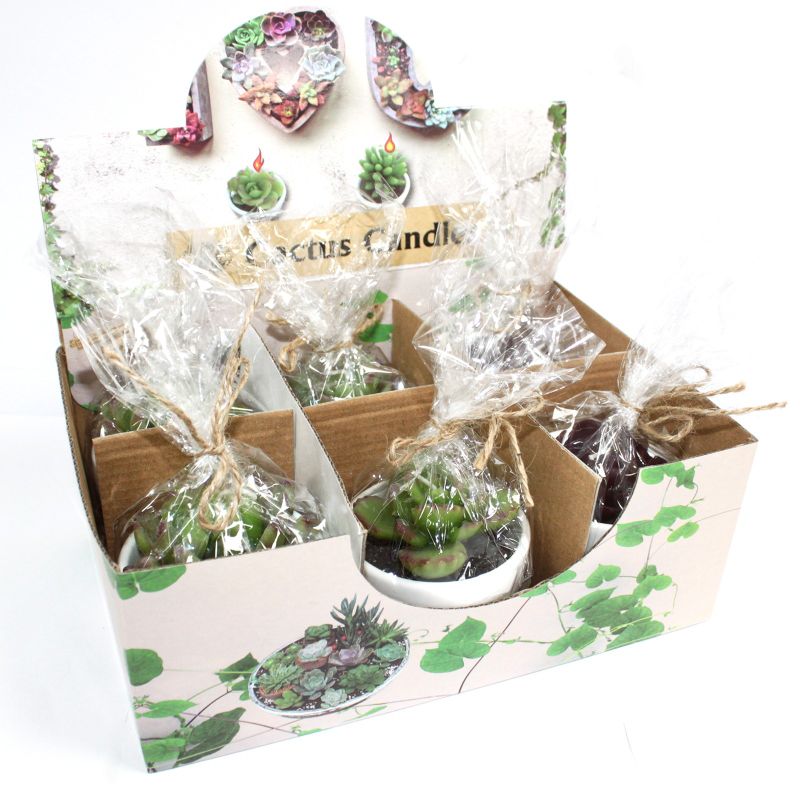 Big Pot Cactus Candles In Display Box (assorted)