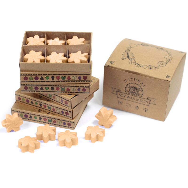 packs Wax Melts - Midnight Jasmine