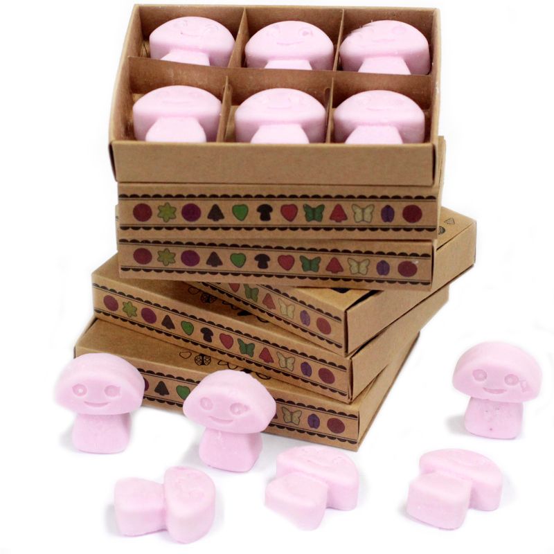packs Wax Melts - Ylang Ylang