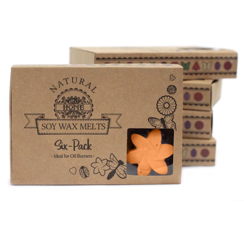 packs Wax Melts - Mango Fruits