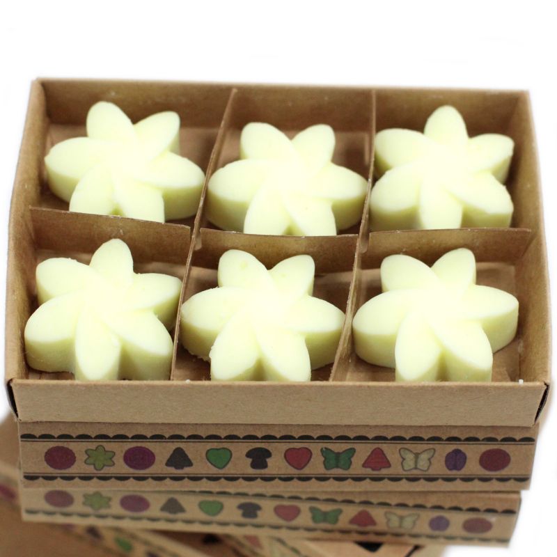 packs Wax Melts - Lemon Harvest