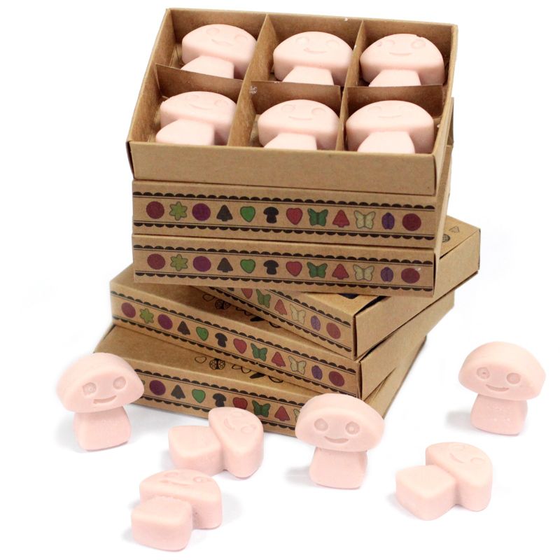 packs Wax Melts - Old Ginger