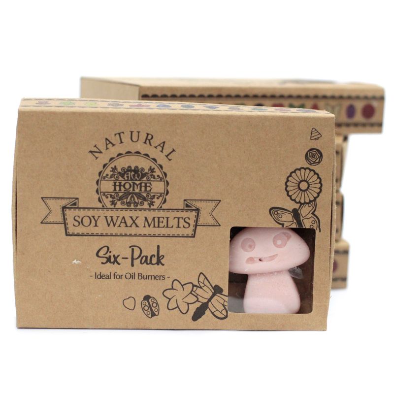 packs Wax Melts - Old Ginger