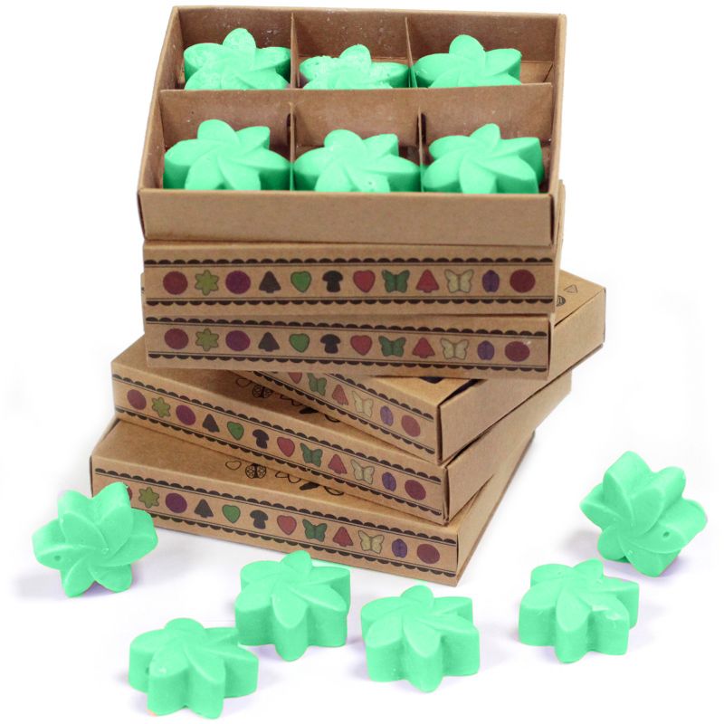 packs Wax Melts - Hidden Garden