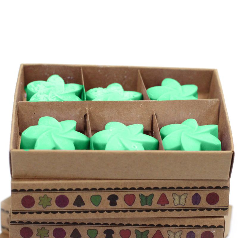packs Wax Melts - Hidden Garden
