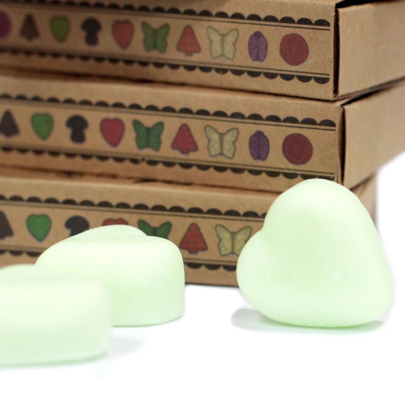 packs Wax Melts - Watermelon Fresh