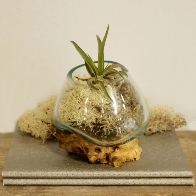Molten Glass on Wood - Small Bowl