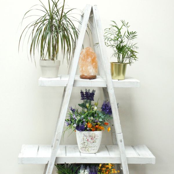 Delux - Essential Oil Wooden Display