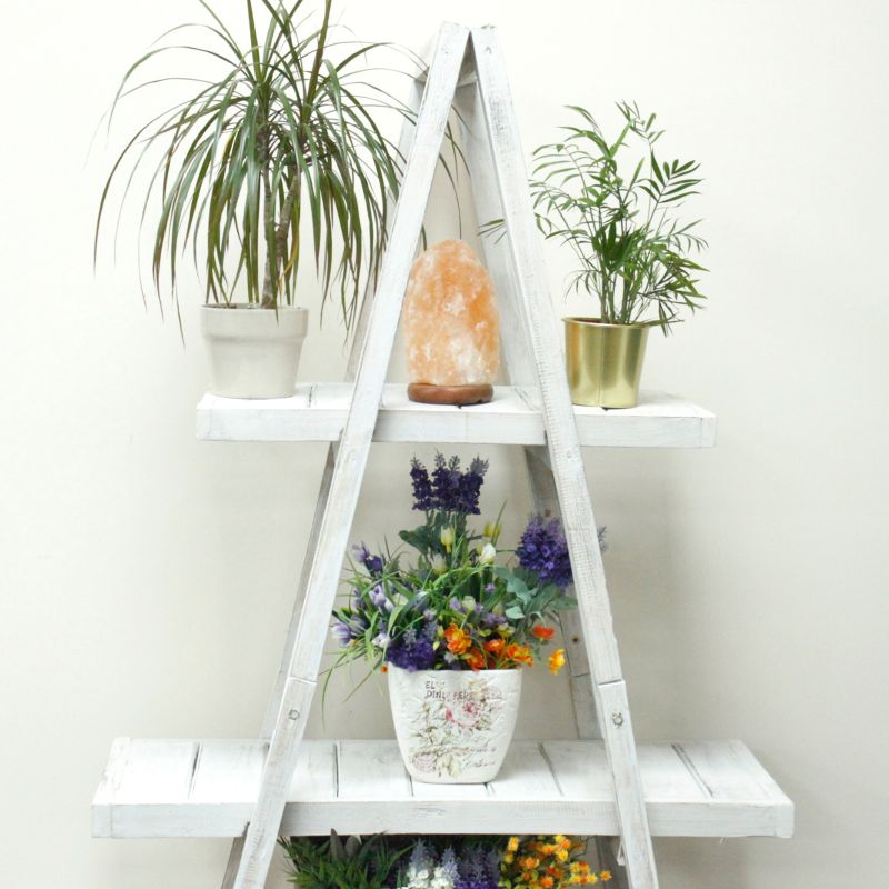 Delux - Essential Oil Wooden Display