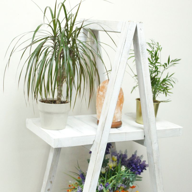Delux - Essential Oil Wooden Display