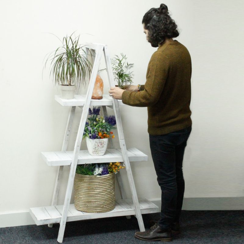 Delux - Essential Oil Wooden Display