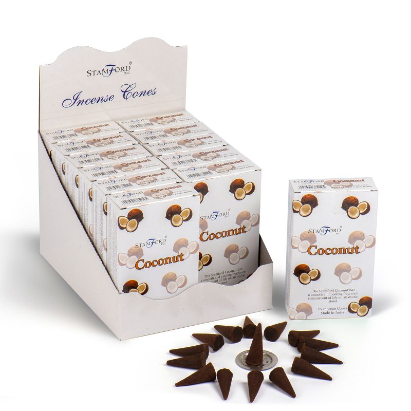 Box of 12 Coconut cones