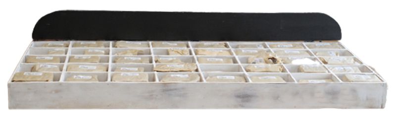 Rustic Bark Letter & Number - Display Box & Starter (40 x 12) 7cm