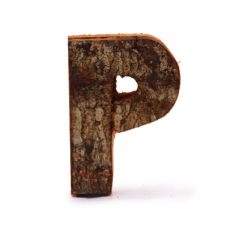 Rustic Bark Letter - "P" - 7cm