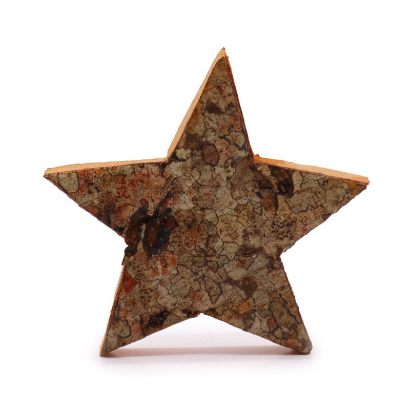 Rustic Bark Letter - "Star Shape" - 7cm