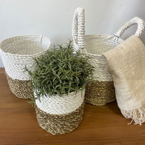 Set of 3 Seagrass Basket Set - Natural White