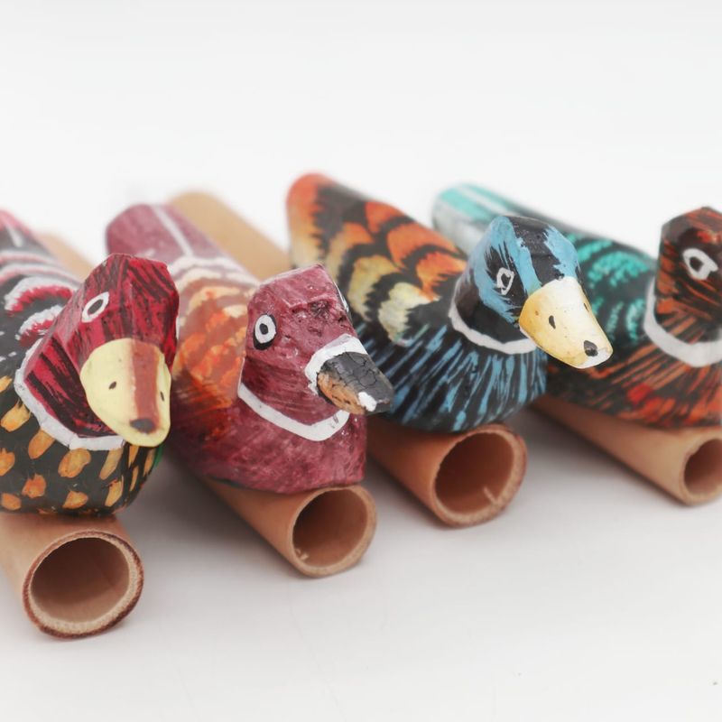 Duck Whistle - 4 assorted
