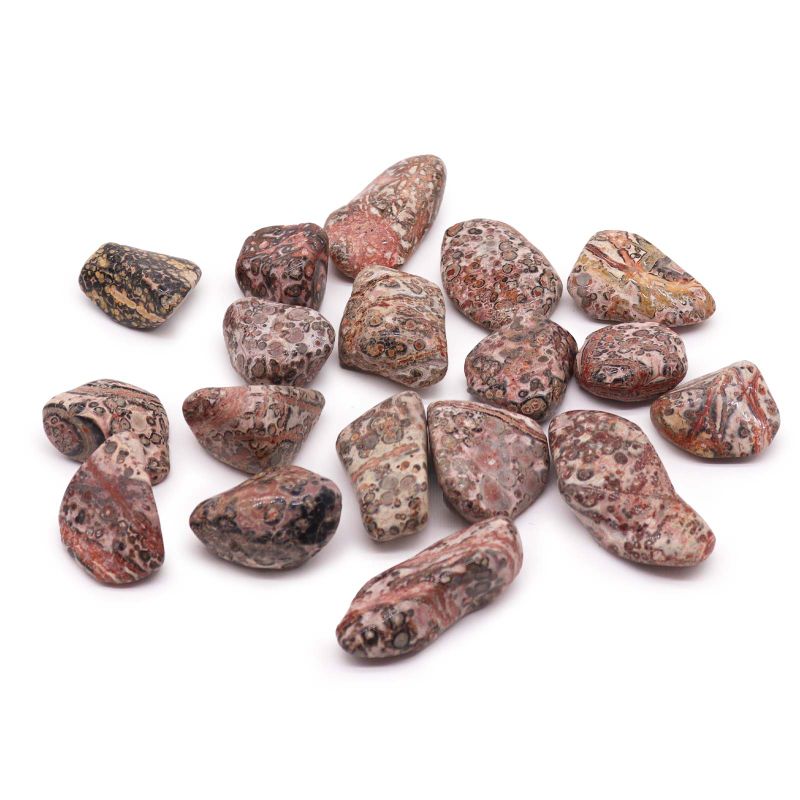XL Tumble Stones - Leopard Skin