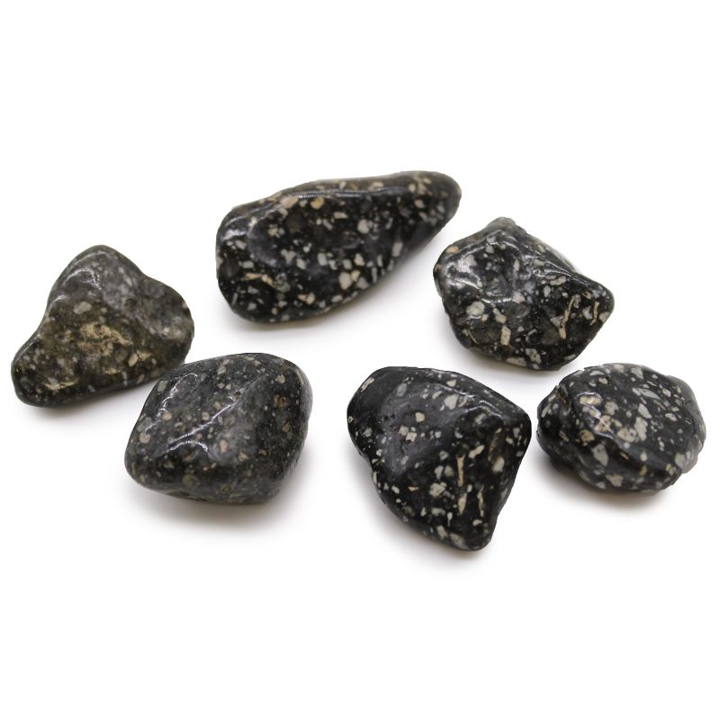 Large African Tumble Stone - Guinea Fowl Large