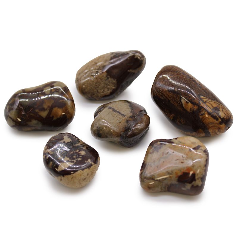 Large African Tumble Stone - Jasper Nguni