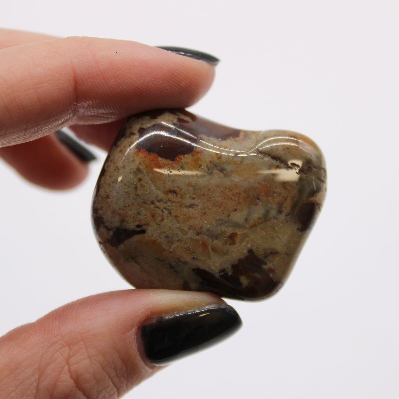 Large African Tumble Stone - Jasper Nguni