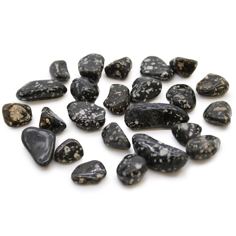 Small African Tumble Stone - Guinea Fowl