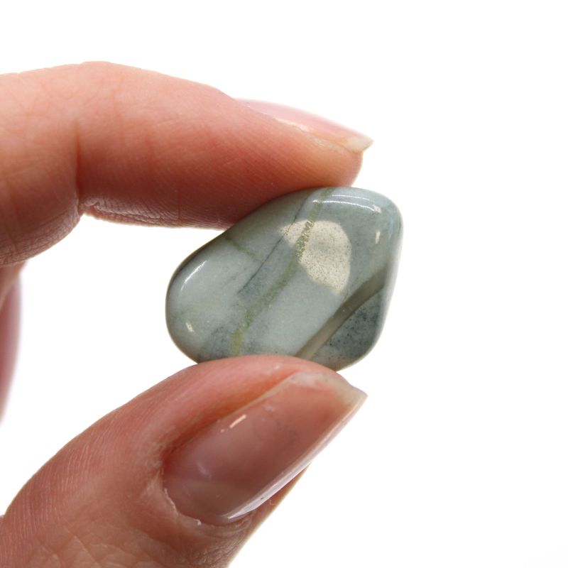 Small African Tumble Stone - Bloodstone - Sephtonite