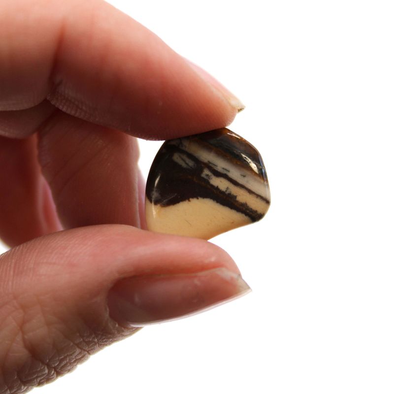 Small African Tumble Stone - Picture Nguni