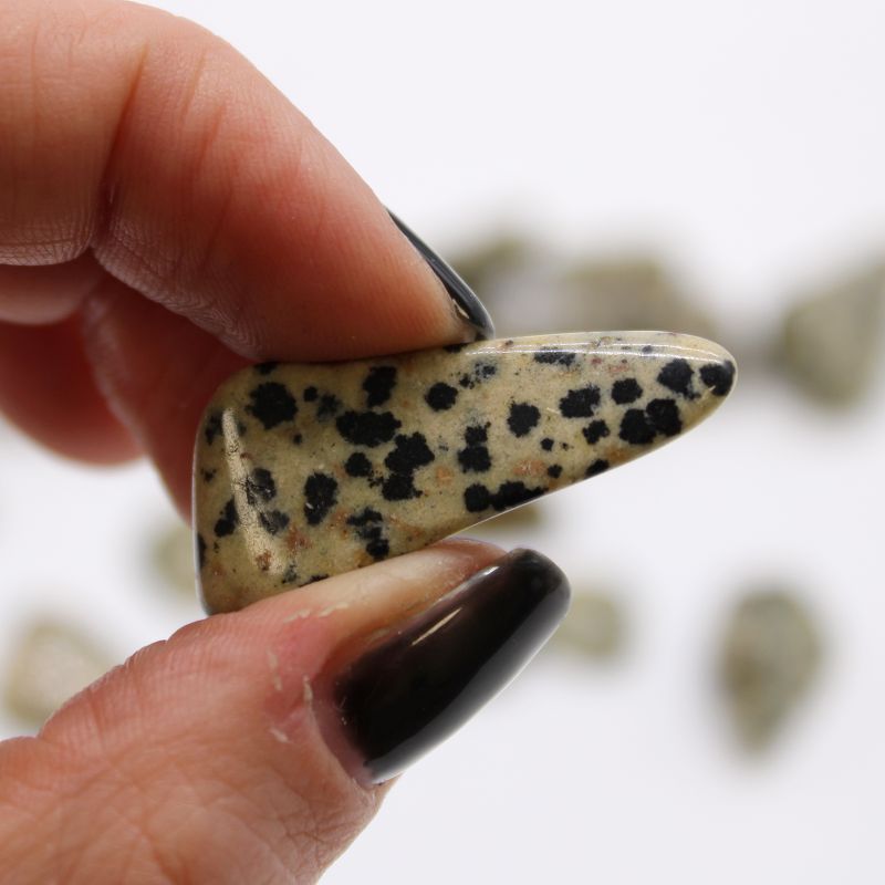 M Tumble Stone - Dalmatian Stone