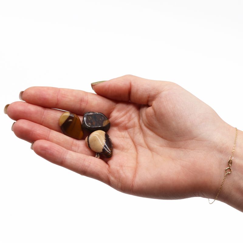 Small African Tumble Stone - Jasper Nguni