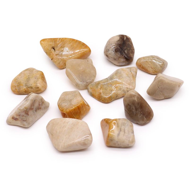 XL Tumble Stones - Agatised Coral