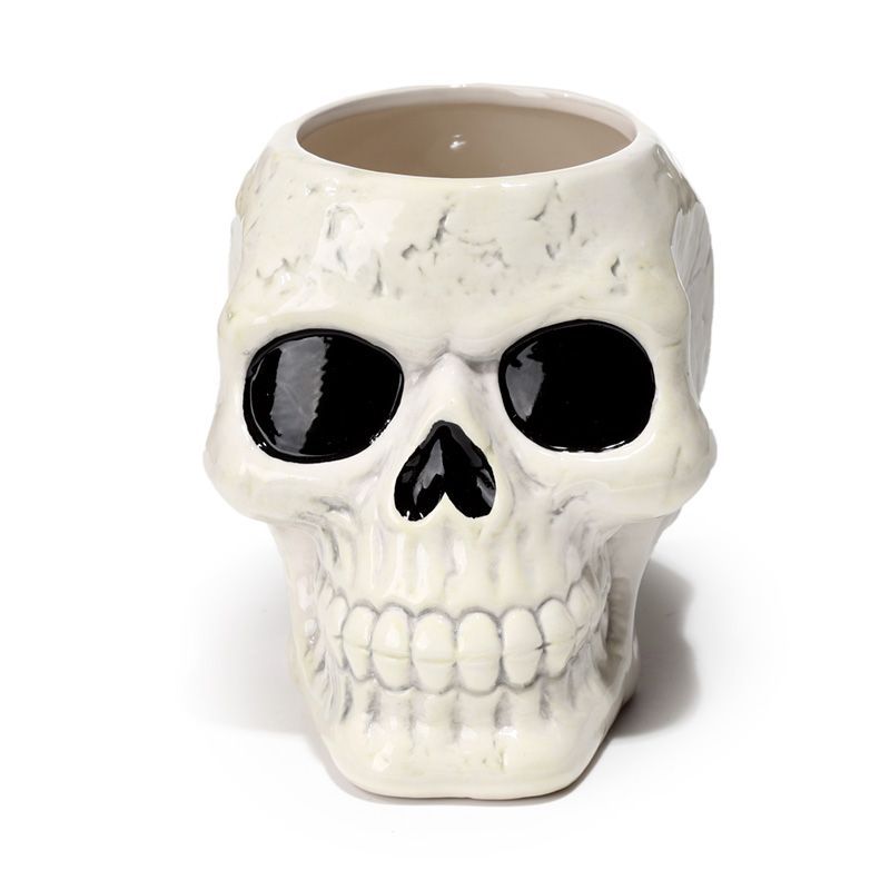 Ancient Skull Shaped Ceramic Garden Planter/Plant Pot