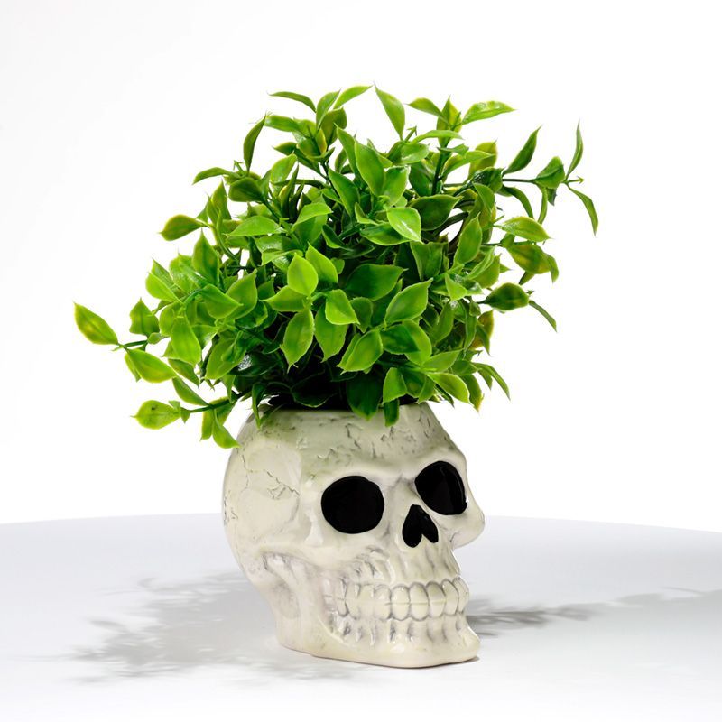 Ancient Skull Shaped Ceramic Garden Planter/Plant Pot