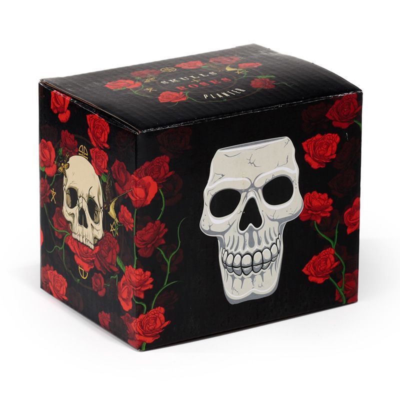 Ancient Skull Shaped Ceramic Garden Planter/Plant Pot