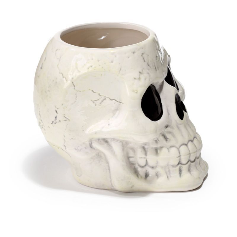 Ancient Skull Shaped Ceramic Garden Planter/Plant Pot