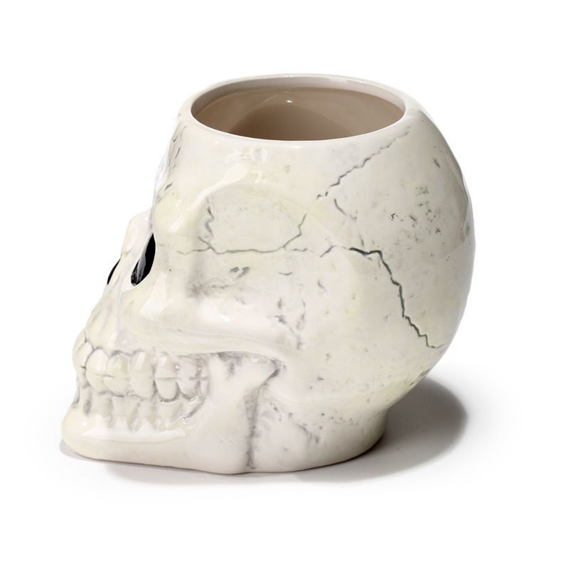 Ancient Skull Shaped Ceramic Garden Planter/Plant Pot
