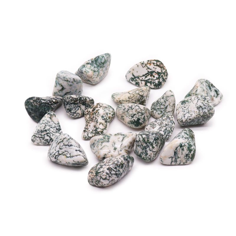 XL Tumble Stones - Tree Agate