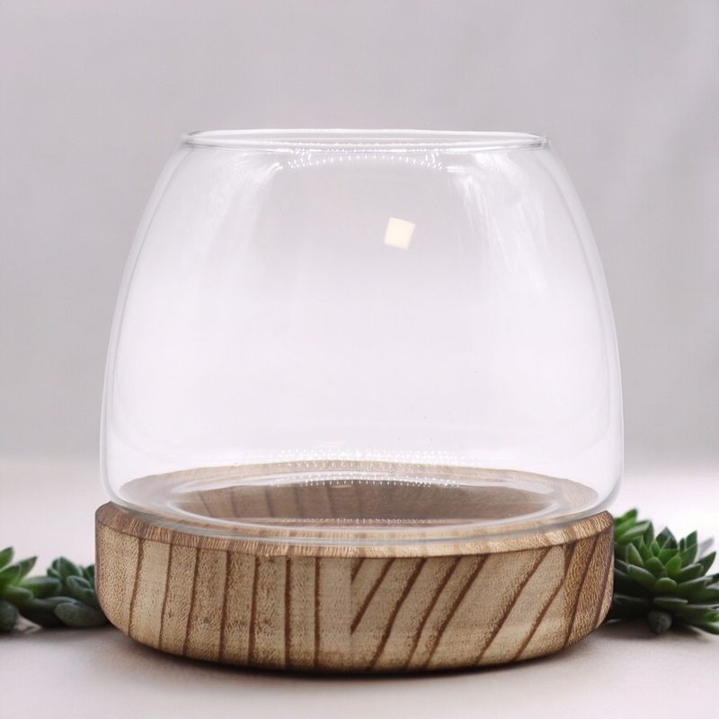 Small Terrarium on Natural Tung Wood - 13x13cm
