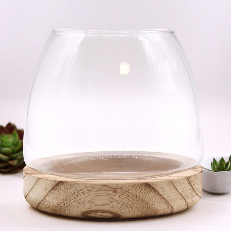 Medium Terrarium on Natural Tung Wood - 15x15cm