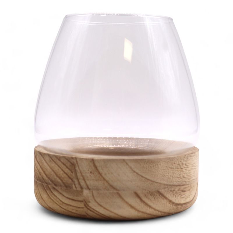 Large Terrarium on Natural Tung Wood - 17x19cm