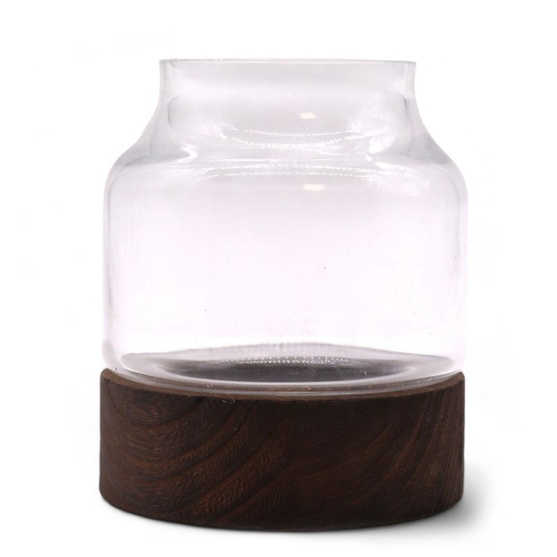 Small Shaped Terrarium on Dark Tung Wood - 12x13cm