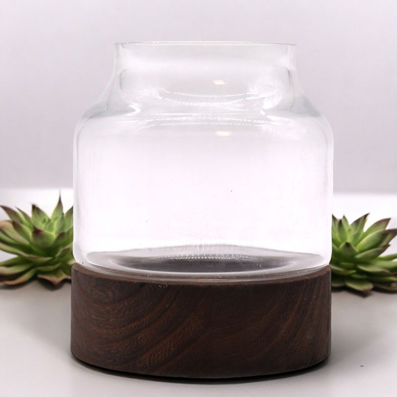 Small Shaped Terrarium on Dark Tung Wood - 12x13cm