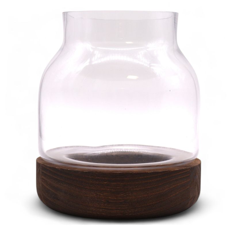 Medium Shaped Terrarium on Dark Tung Wood - 16x18cm