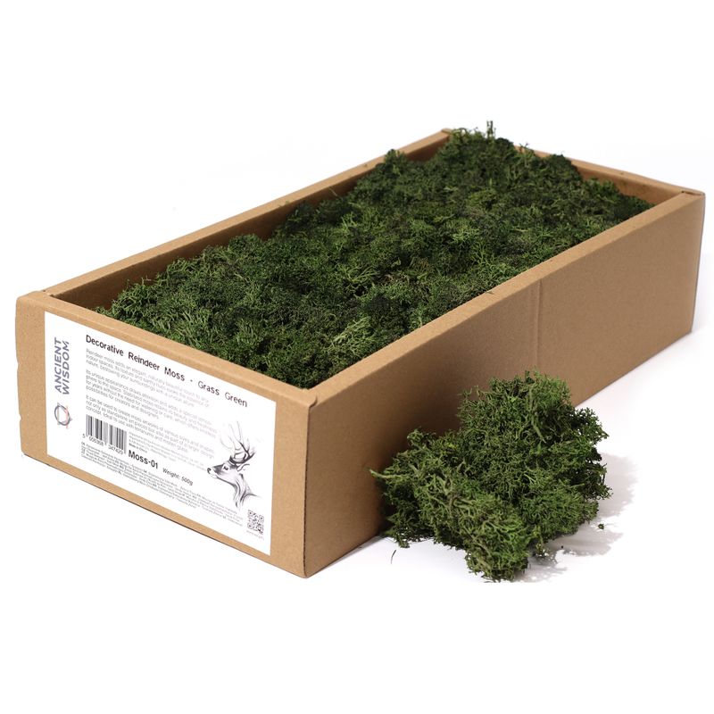 Quality Decorative Reindeer Moss - Grass Green - 500g Box