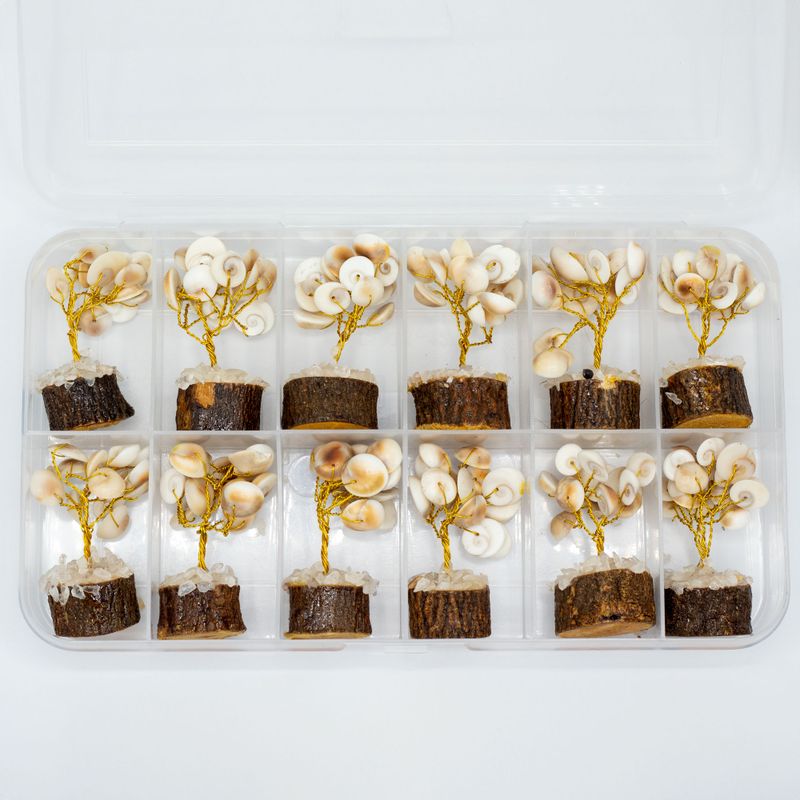 Small Gomati Chakra Circle Stone Trees with Rudraksha - (15 stones)