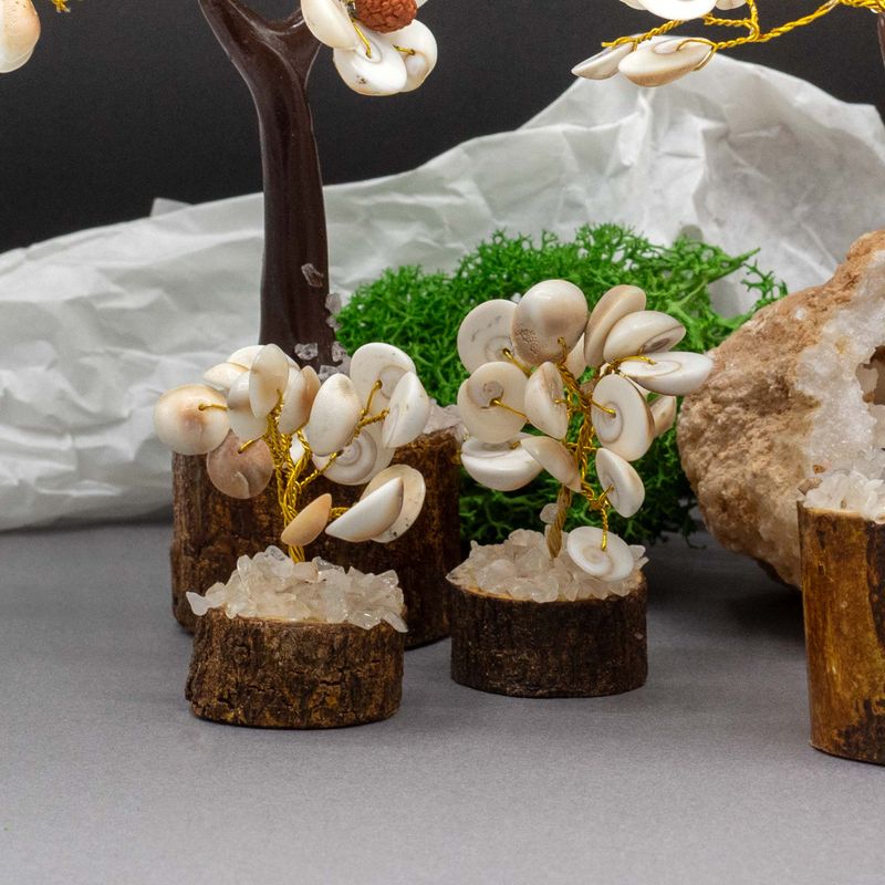 Small Gomati Chakra Circle Stone Trees with Rudraksha - (15 stones)