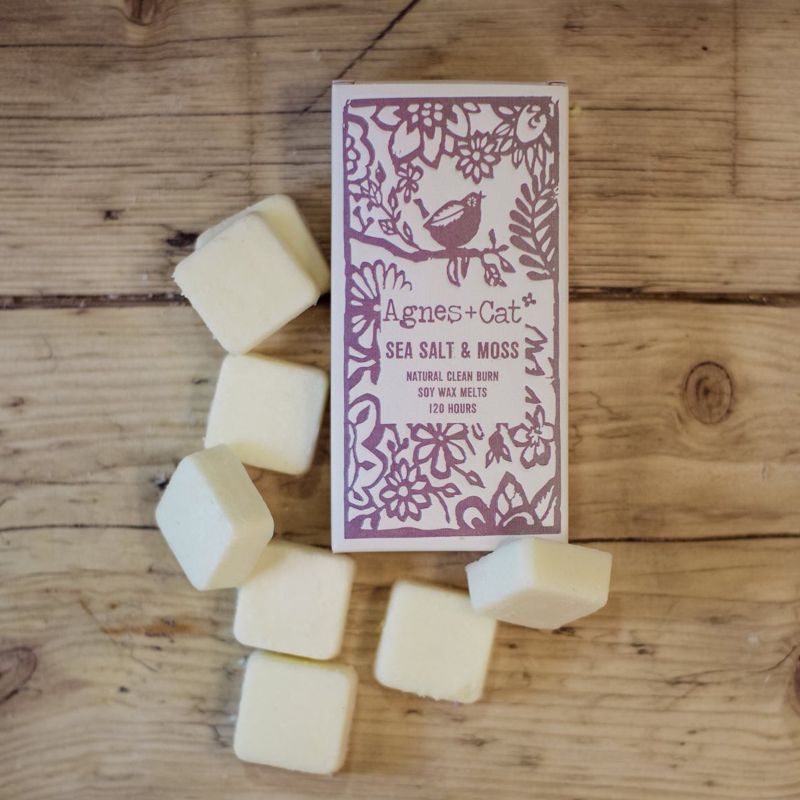 Box of 8 Wax Melts - Seasalt + Moss